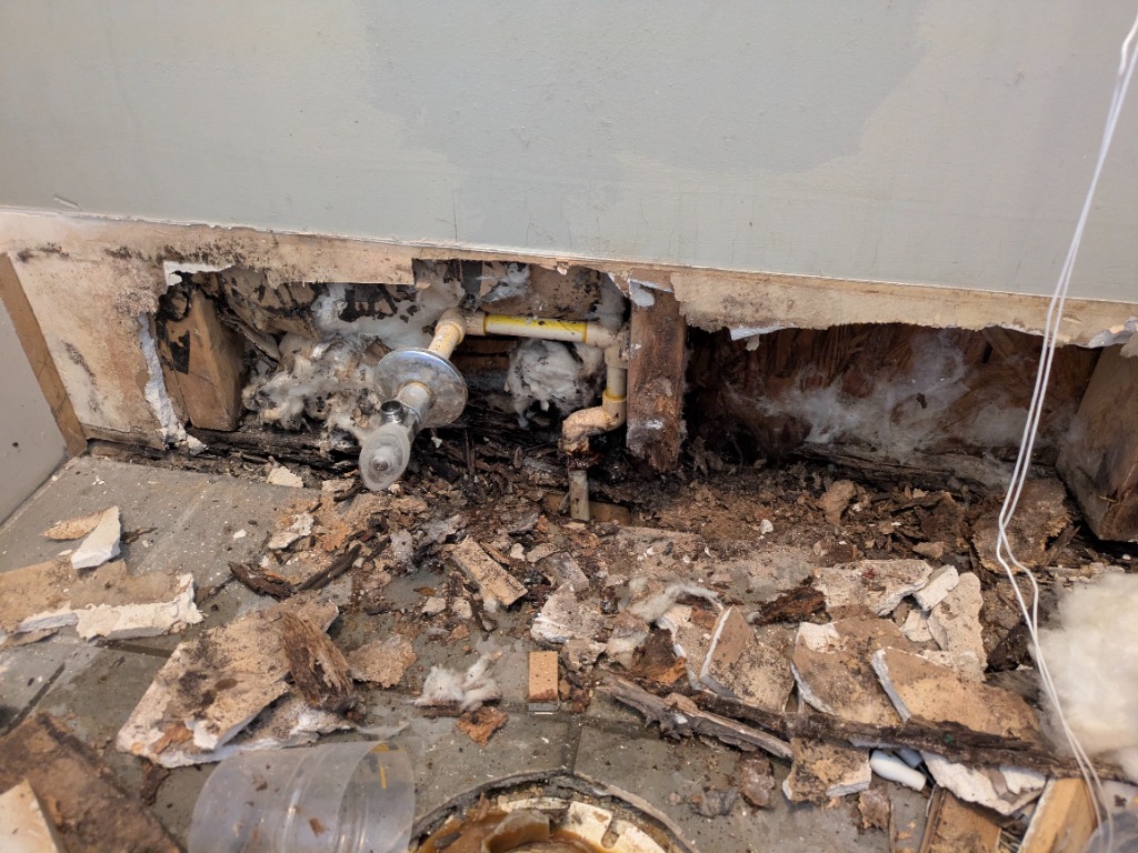 Rotted wall studs and mold